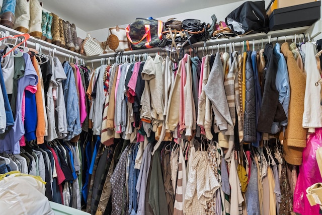 view of spacious closet