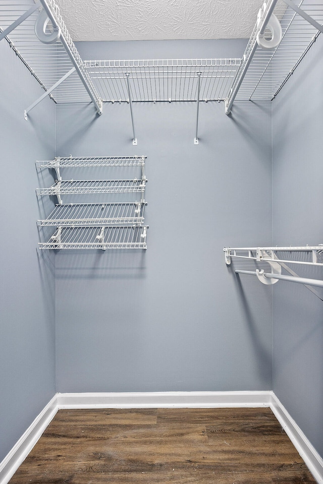 spacious closet featuring hardwood / wood-style flooring