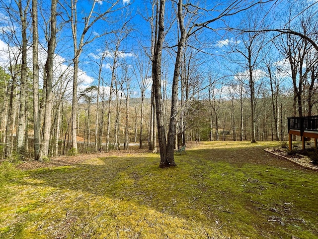 150 Harrison Mill Rd, Benton, TN 37307 - photo 82