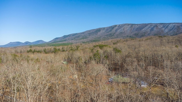 150 Harrison Mill Rd, Benton, TN 37307 - photo 11
