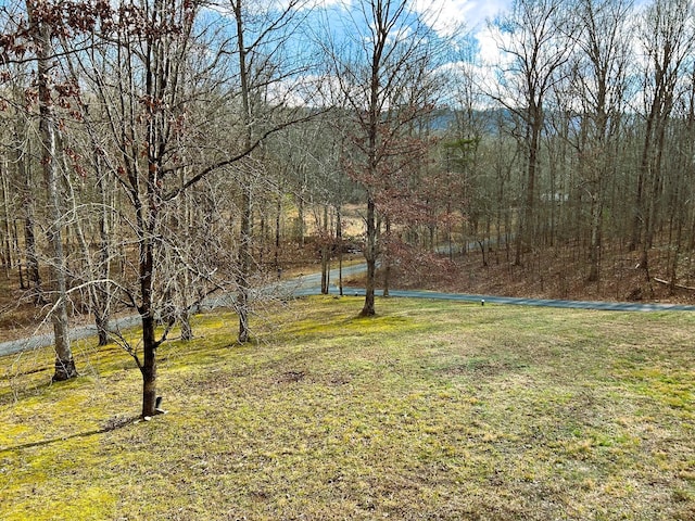 150 Harrison Mill Rd, Benton, TN 37307 - photo 83