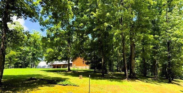 150 Harrison Mill Rd, Benton, TN 37307 - photo 3