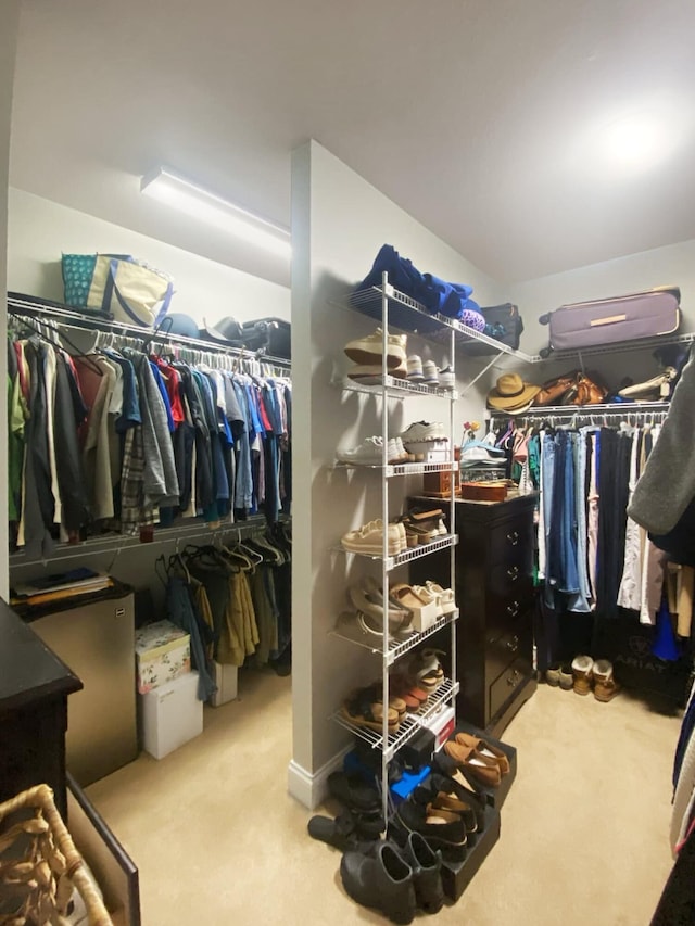 spacious closet featuring carpet flooring