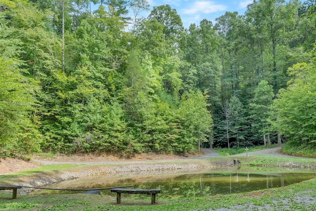 view of property's community featuring a water view