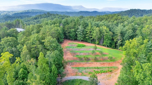 birds eye view of property with a mountain view