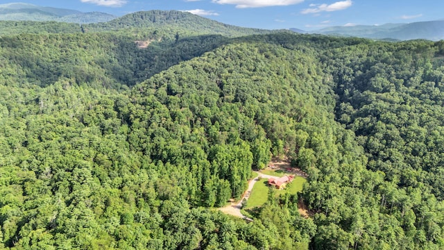 bird's eye view featuring a mountain view