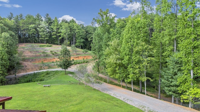 view of home's community with a lawn