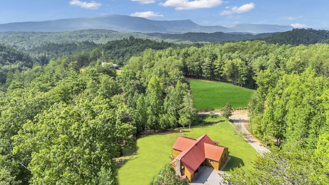 drone / aerial view featuring a mountain view