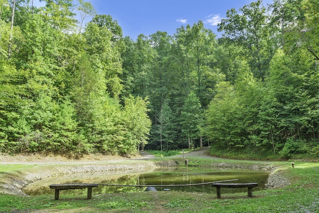 view of community featuring a water view