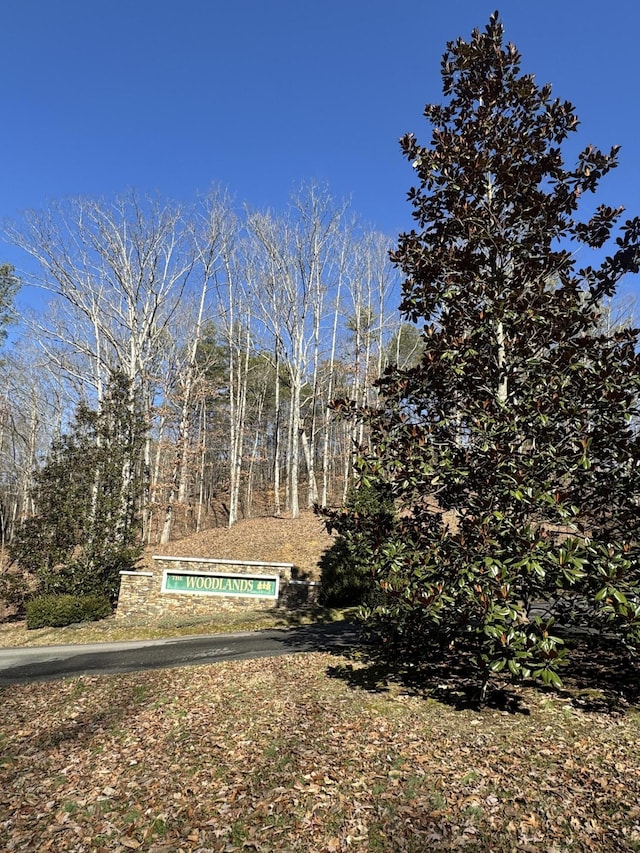 Listing photo 3 for 00 Fox Trail Dr, Old Fort TN 37362