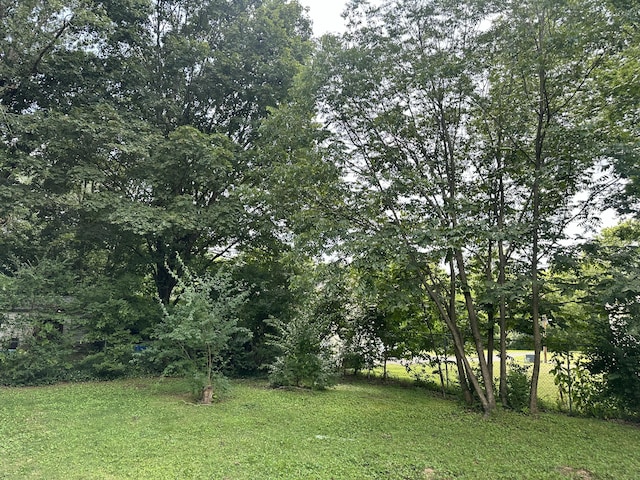 1453 Barnes St NE, Cleveland, TN 37311 - view of green lawn