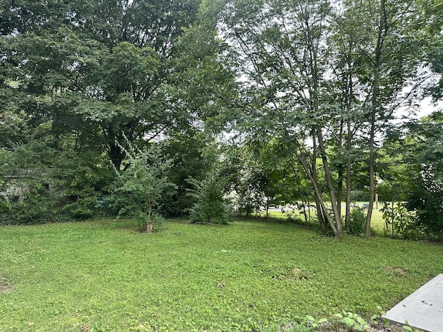 1453 Barnes St NE, Cleveland, TN 37311 - view of green lawn