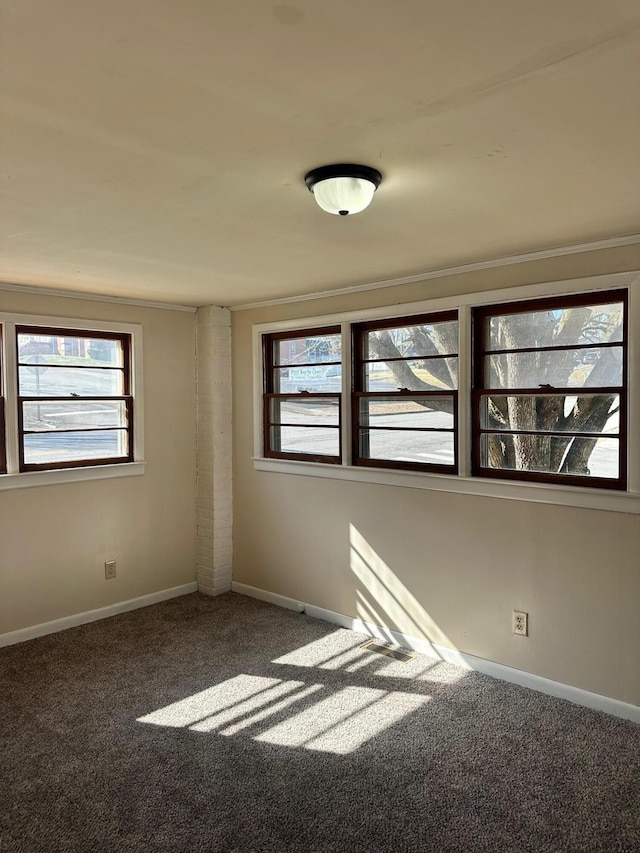 spare room featuring carpet