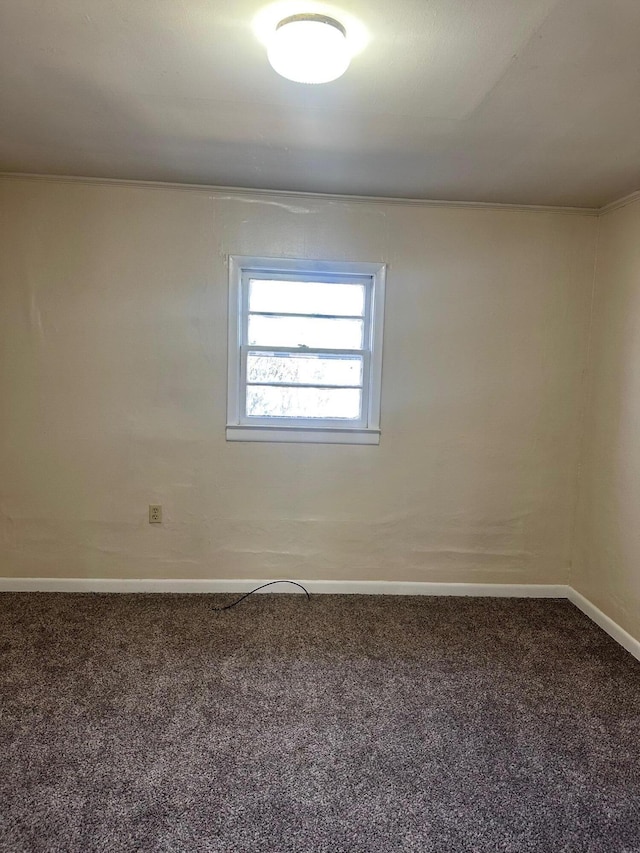 unfurnished room featuring carpet floors