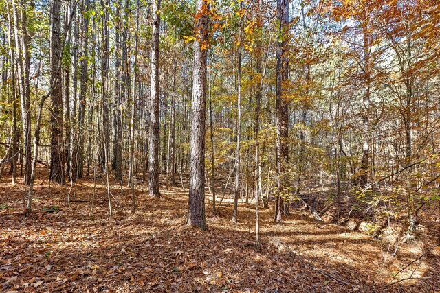 1492 Brymer Creek Rd, Mcdonald, TN 37353 - photo 8