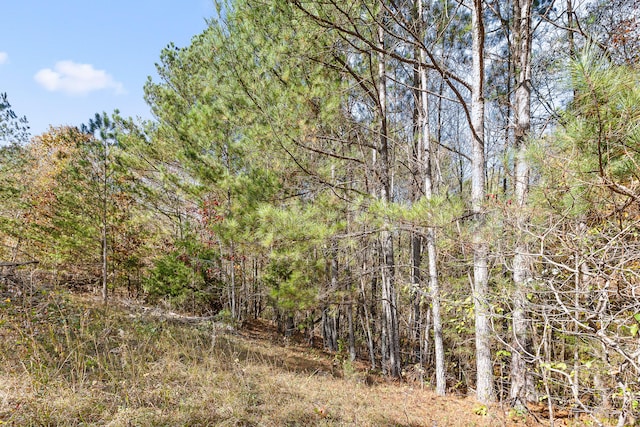 1492 Brymer Creek Rd, Mcdonald, TN 37353 - photo 13