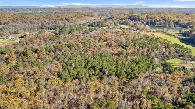 1492 Brymer Creek Rd, Mcdonald, TN 37353 - photo 12