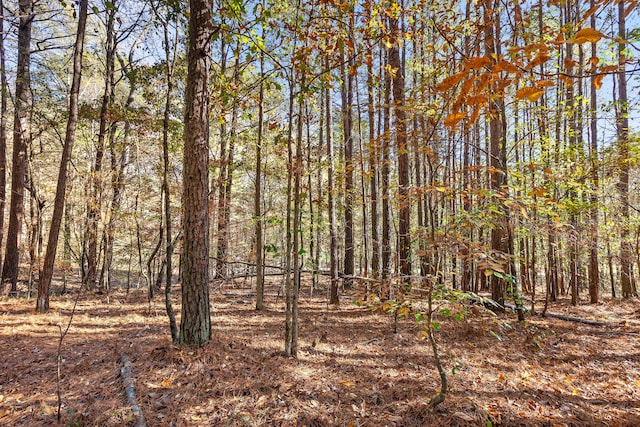 1492 Brymer Creek Rd, Mcdonald, TN 37353 - photo 6