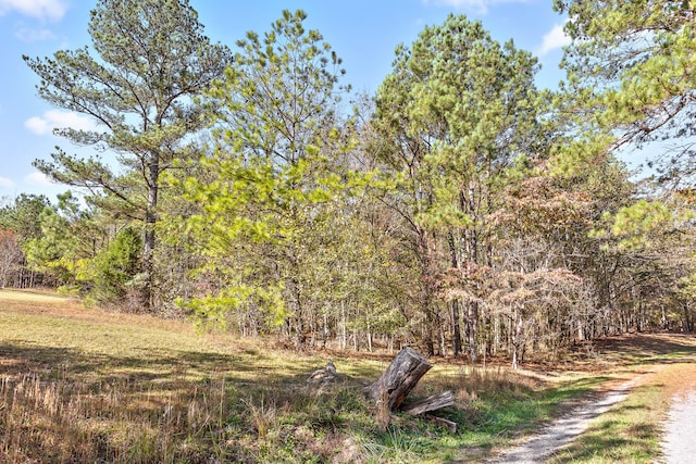 1492 Brymer Creek Rd, Mcdonald, TN 37353 - photo 3