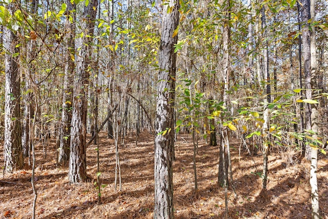 1492 Brymer Creek Rd, Mcdonald, TN 37353 - photo 10