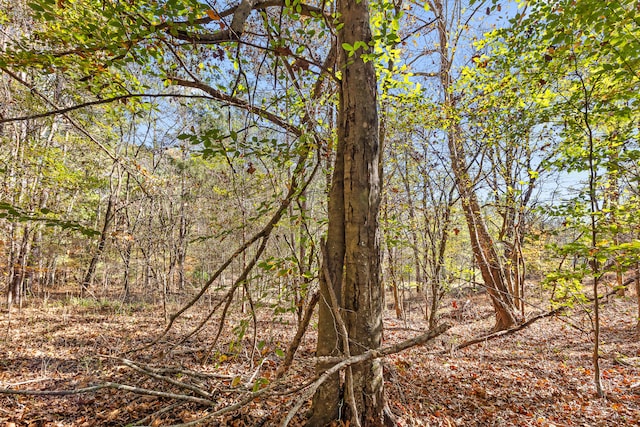 1492 Brymer Creek Rd, Mcdonald, TN 37353 - photo 23