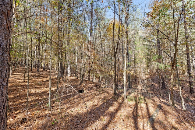 1492 Brymer Creek Rd, Mcdonald, TN 37353 - photo 7