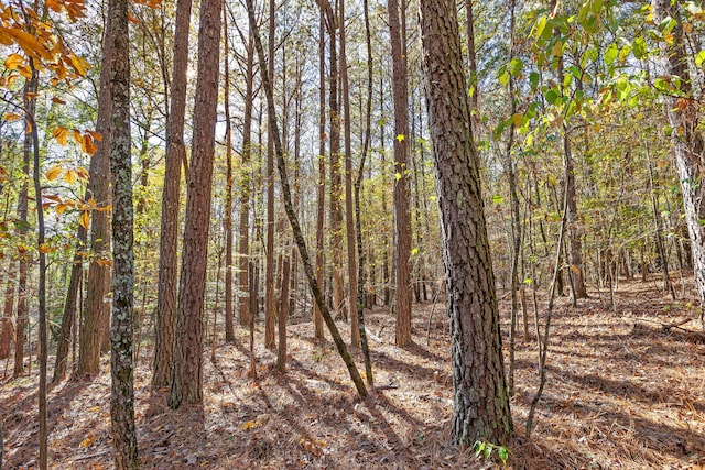 1492 Brymer Creek Rd, Mcdonald, TN 37353 - photo 9