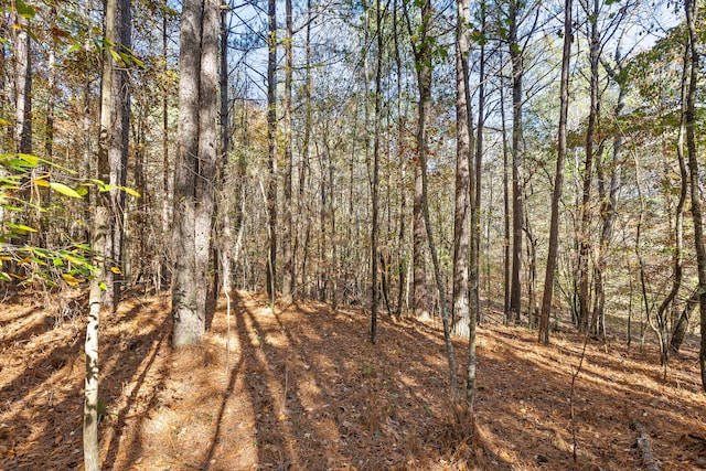 1492 Brymer Creek Rd, Mcdonald, TN 37353 - photo 5