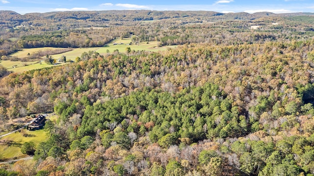 1492 Brymer Creek Rd, Mcdonald, TN 37353 - photo 11