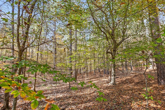1492 Brymer Creek Rd, Mcdonald, TN 37353 - photo 19
