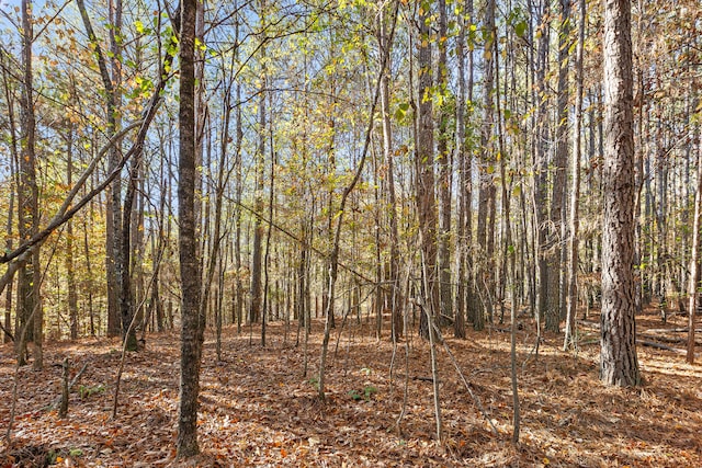 1492 Brymer Creek Rd, Mcdonald, TN 37353 - photo 4