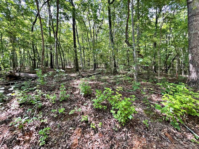LOT2 Raby Hollow Rd, Kingston, TN 37763 - photo 13