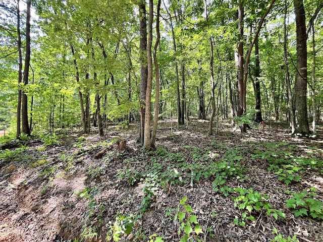LOT2 Raby Hollow Rd, Kingston, TN 37763 - photo 2