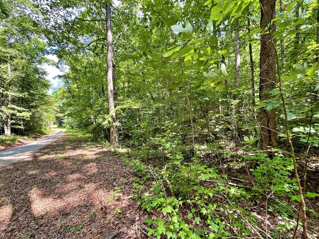 LOT2 Raby Hollow Rd, Kingston, TN 37763 - photo 3