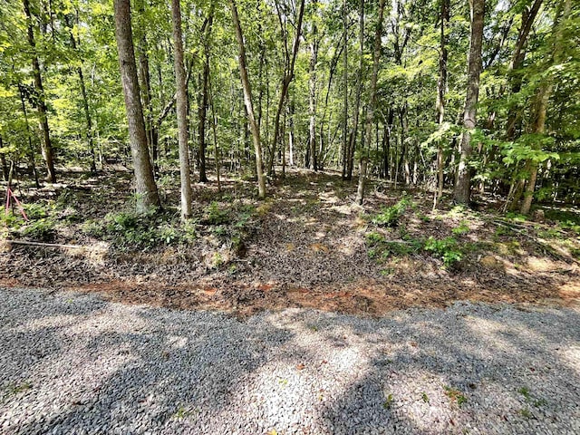 LOT2 Raby Hollow Rd, Kingston, TN 37763 - photo 1