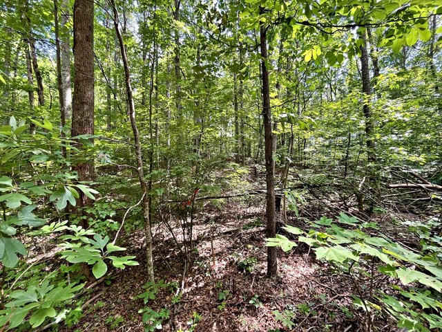 LOT2 Raby Hollow Rd, Kingston, TN 37763 - photo 8