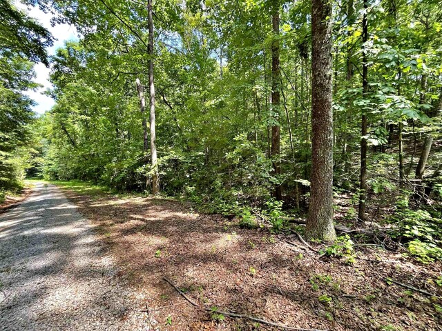 LOT2 Raby Hollow Rd, Kingston, TN 37763 - photo 6