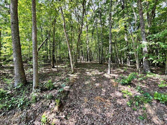 LOT2 Raby Hollow Rd, Kingston, TN 37763 - photo 5