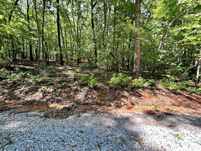 LOT2 Raby Hollow Rd, Kingston, TN 37763 - photo 10