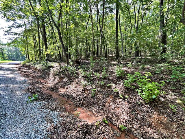 LOT2 Raby Hollow Rd, Kingston, TN 37763 - photo 7