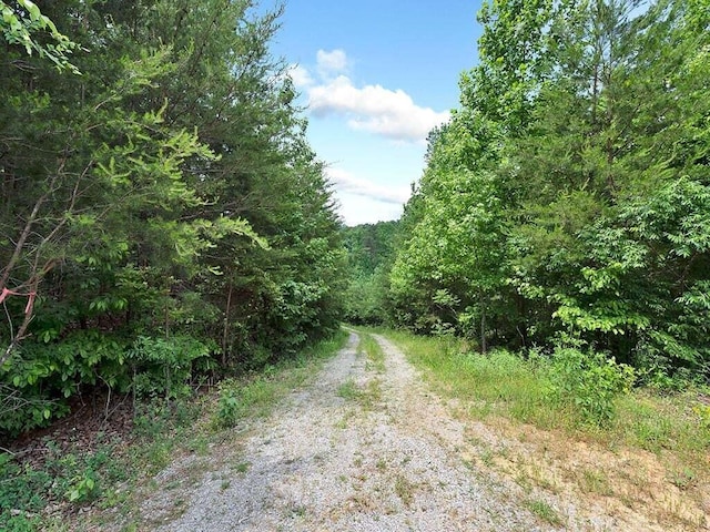 142 Gage Ln, Ocoee TN, 37361 land for sale