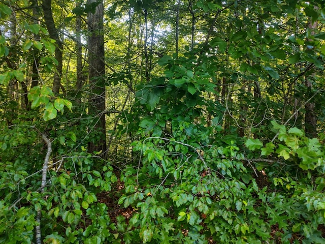 000 Old Gordon Rd, Grandview, TN 37337 - photo 11