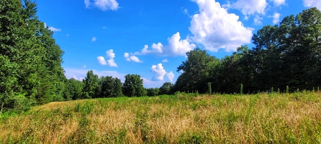 000 Old Gordon Rd, Grandview, TN 37337 - photo 4