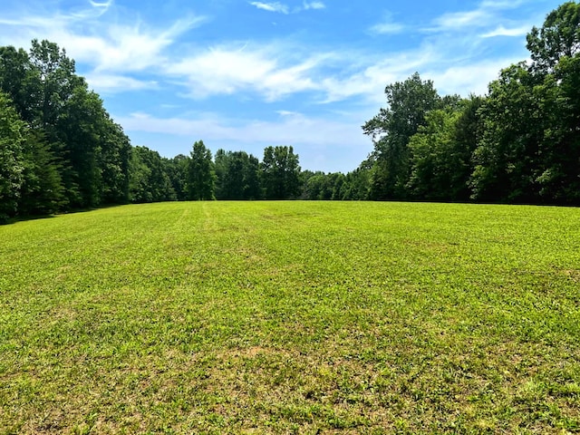 000 Old Gordon Rd, Grandview, TN 37337 - photo 17