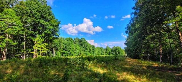 000 Old Gordon Rd, Grandview, TN 37337 - photo 1
