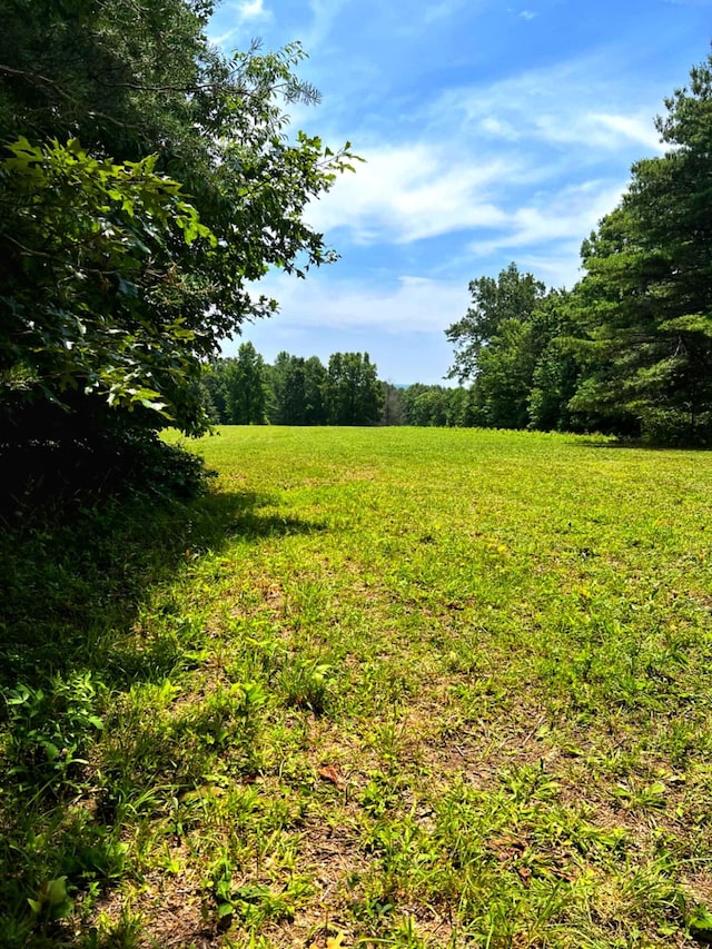 000 Old Gordon Rd, Grandview, TN 37337 - photo 15
