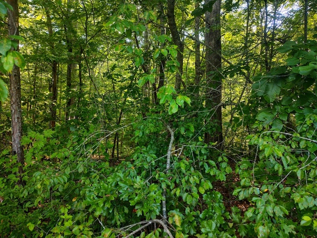 000 Old Gordon Rd, Grandview, TN 37337 - photo 8