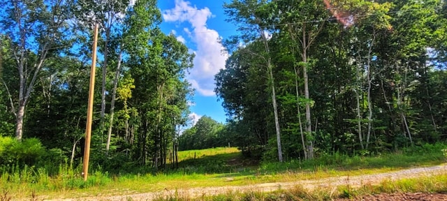000 Old Gordon Rd, Grandview, TN 37337 - photo 3