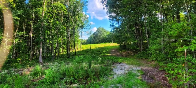 000 Old Gordon Rd, Grandview, TN 37337 - photo 6