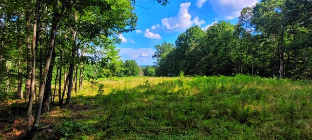 000 Old Gordon Rd, Grandview, TN 37337 - photo 5